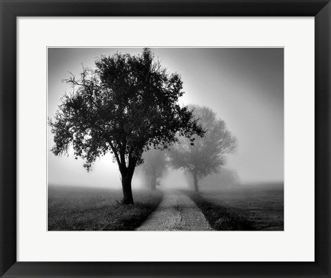 Framed Art Trees on County Road 14 x 18