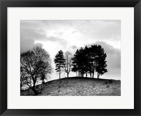 Framed Art Trees on Hill 14 x 18