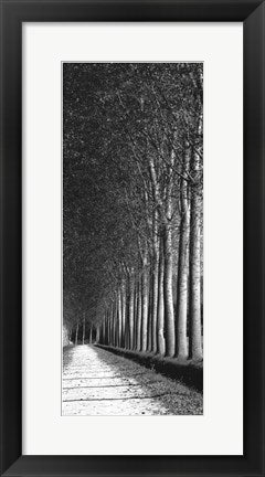 Framed Art Oak Lane II 20 1/2 x 8 1/2