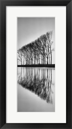 Framed Art Reflections 20 1/2 x 8 1/2