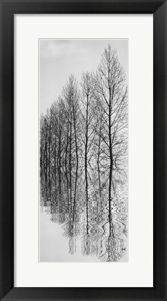 Framed Art Reflections II 20 1/2 x 8 1/2