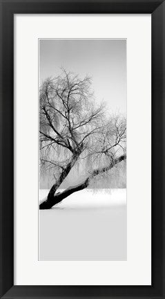 Framed Art Solitude 20 x 8
