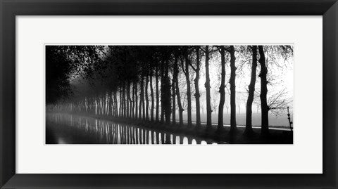 Framed Art Tree Lined Canal 8 x 20