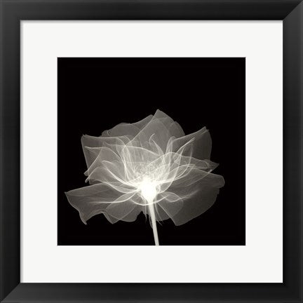 Framed Art Layered Veil 12 x 12