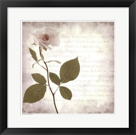 Framed Art Retro Rose 16 1/2 x 16 1/2