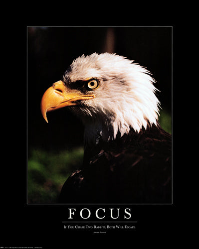 Focus: Eagle Wall Art | 20 x 16 Fine Art Print