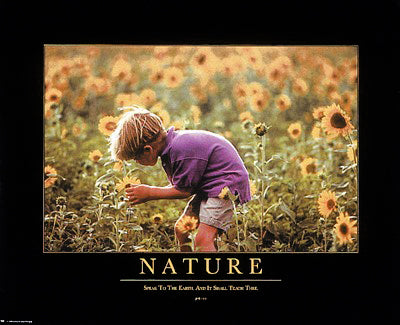 Nature Wall Art | 16 x 20 Fine Art Print