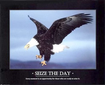 Seize The Day Wall Art Decor by Anon.16x20 Art Print