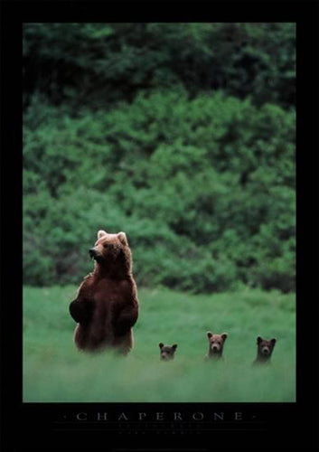 Chaperone by Mark Newman | 34 x 24 Fine Art Print