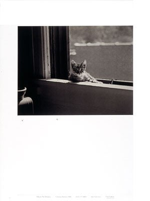 Kitty in the Window by Jim Holmes | 24 x 18 Fine Art Print