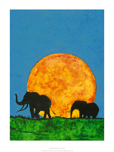 Elephants by Tony Sharp | 15.7 x 11.8 Fine Art Print