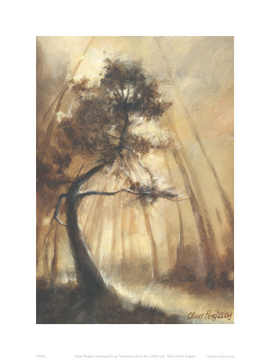 Woodland Grove by Oliver Pengilley | 15 ¾ x 11 ¾ Fine Art Print