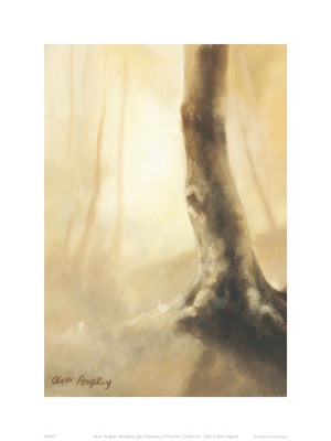 Woodland Light by Oliver Pengilley | 15 ¾ x 11 ¾ Fine Art Print