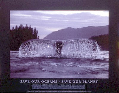 Save Our Oceans, Save Our Planet by Bob Talbot | 24 x 31 Fine Art Print