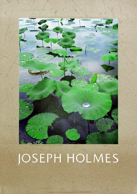 Lily Pads by Joseph Holmes | 35 x 25 Fine Art Print