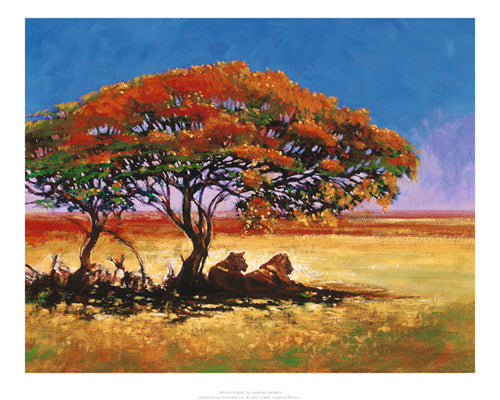 African Shade by Jonathan Sanders | 15.7 x 19.7 Fine Art Print