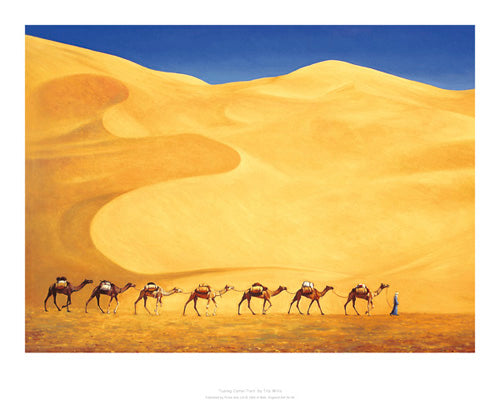 Tuareg Camel Train by Tilly Willis | 15.7 x 19.7 Fine Art Print