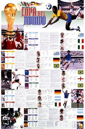 Framed Art History of the World Cup: 1930-1994 (Spanish Language) by Vanguard