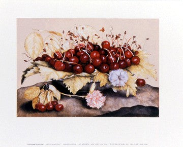 Piatto di Baccelli by Giovanni Garzoni | 10 x 12 Fine Art Print