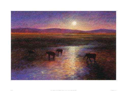 Crossing the Tana River by Jonathan Sanders | 19.7 x 27.6 Fine Art Print