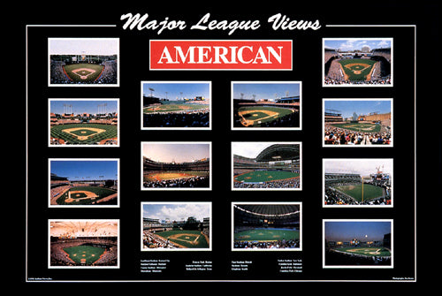 Major League Views: American League by Ira Rosen | 23 7/8 x 35 7/8 
