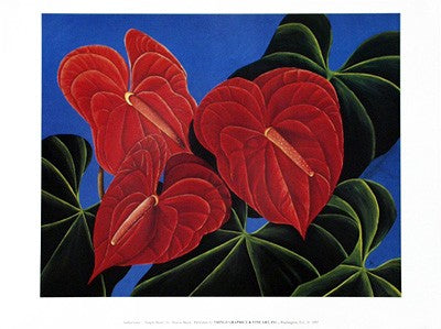 Jungle Heart by Sharon Mack | 18 x 24 Fine Art Print