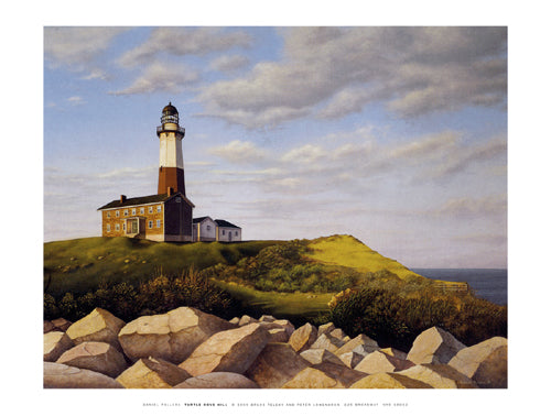 Turtle Cove Hill (mini) by Daniel Pollera | 9 x 11 7/8 Fine Art Print