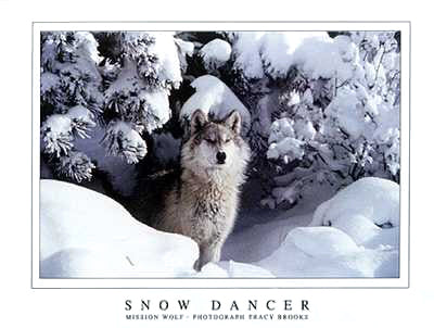 Framed Art Snow Dancer by Tracy Brooks | 23 7/8 x 31 3/4
