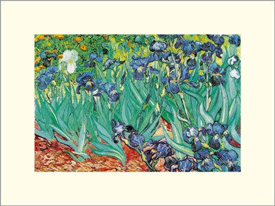 Irises by Vincent van Gogh | 15 3/4 x 11 3/4 Fine Art Print