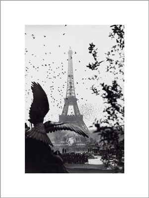 Eiffel Tower Wall Art | 15 3/4 x 11 7/8 Fine Art Print