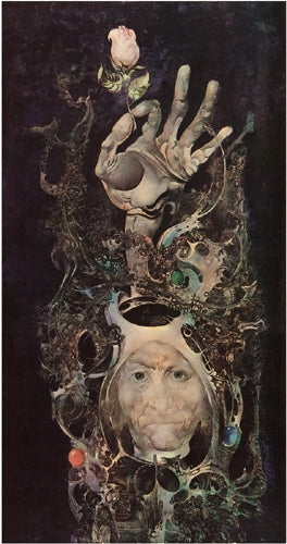 Framed Art The Rose by Endre Szasz | 21 x 11