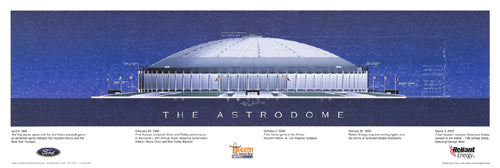 Framed Art The Astrodome by Andy Hickes | 8 x 24