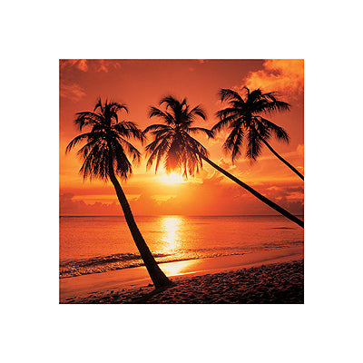 Tropical Sunset by Bob Thomas | 15 3/4 x 15 3/4 Fine Art Print