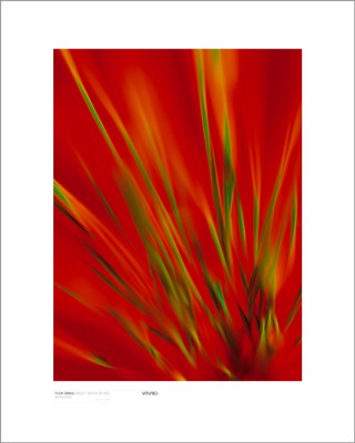 Flexi Grass, Bright Green on Red by Michael Banks | 19 3/4 x 15 3/4