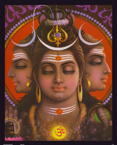 Shiva Wall Art | 20 x 16 Fine Art Print