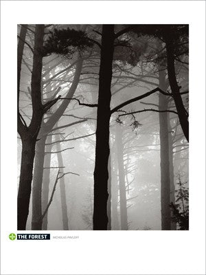 The Forest by Nicholas Pavloff | 31 1/2 x 23 5/8 Fine Art Print