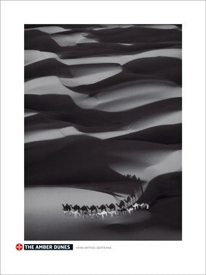 Amber Dunes by Yann Arthus-Bertrand | 31 1/2 x 23 1/2 Fine Art Print