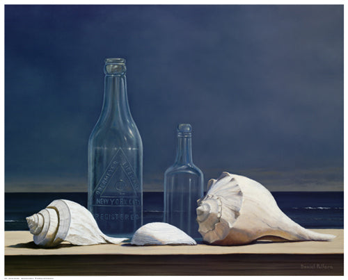 Framed Art Seaglass and Shells by Daniel Pollera | 16 1/2 x 20 1/2