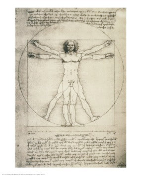 Vitruvian Man, 1492 by Leonardo da Vinci | 30 x 24 Fine Art Print