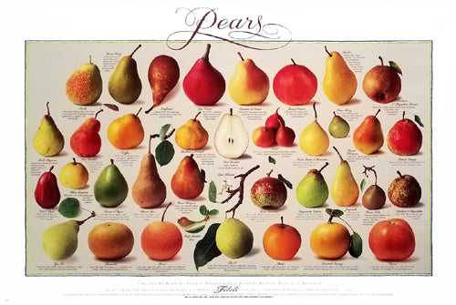 Framed Art Pears (Horizontal) by Barbara Flores | 24 x 36