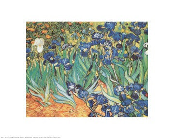 Iris Garden by Vincent van Gogh | 16 x 20 Fine Art Print
