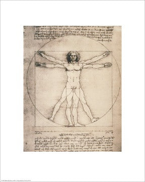 Vitruvian Man, 1492 by Leonardo da Vinci | 20 x 16 Fine Art Print
