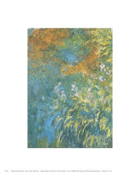 Yellow Iris by Claude Monet | 10 x 8 Fine Art Print