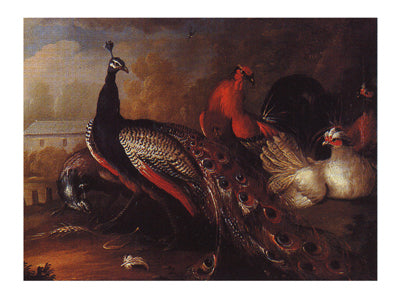 Peacock and Pheasant by Marmaduke Craddock | 20 ¼ x 27 ¼ Fine Art Print