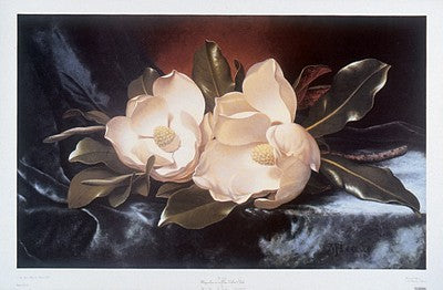 Magnolias on a Blue Velvet Cloth by Martin Johnson Heade