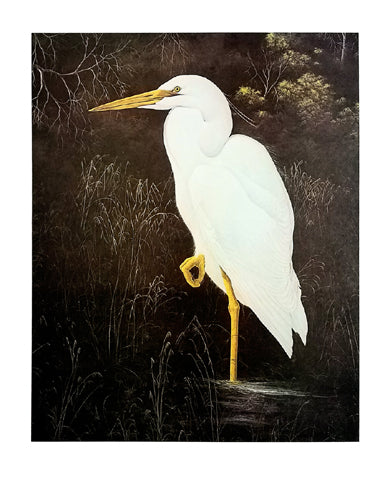 Great White Heron by Gerard Smith | 24 x1/2 x 19 1/8 Fine Art Print