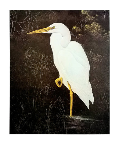 Framed Art Great White Heron by Gerard Smith | 24 x1/2 x 19 1/8