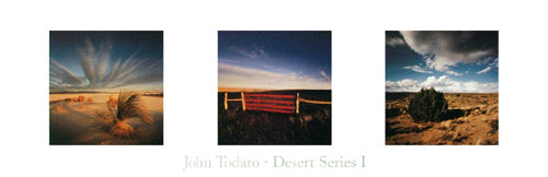 Framed Art Desert Series I by John Todaro | 11 ¾ x 36