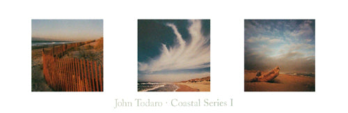 Coastal Series I by John Todaro | 11 ¾ x 36 Fine Art Print