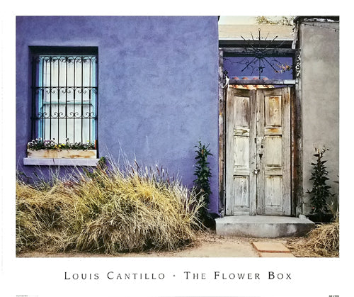Framed Art The Flower Box by Louis Cantillo | 14 ¾ x 17 ½